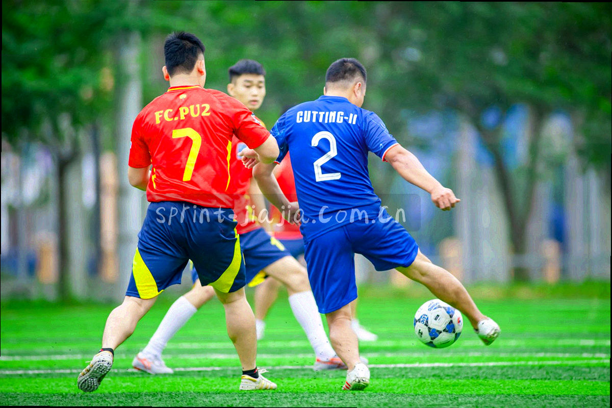 数据从采集端经过整理后输出为接口的流程示意图形，串联三条采集链路与两种输出格式